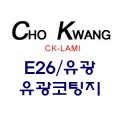 ǰ ̹