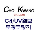 ǰ ̹