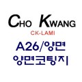 ǰ ̹